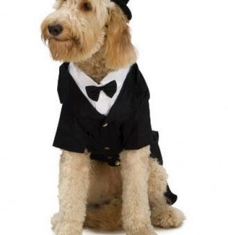 Rubies Pet Shop Dapper Dog Pet Halloween Costume Online Hot Sale