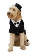 Rubies Pet Shop Dapper Dog Pet Halloween Costume Online Hot Sale