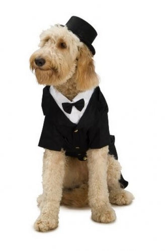 Rubies Pet Shop Dapper Dog Pet Halloween Costume Online Hot Sale