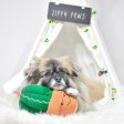 ZippyPaws Carmen the Cactus Plush Dog Toy For Cheap