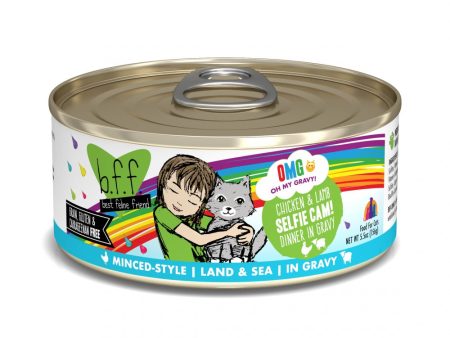 Weruva BFF Oh My Gravy Selfie Cam Grain Free Chicken & Lamb in Gravy Canned Cat Food Online now