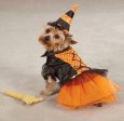 Spellhound Dog  Costume on Sale