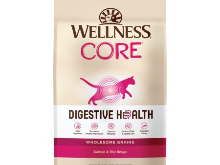 Wellness Core Digestive Health Salmon Recipe Dry Cat Food Online Hot Sale