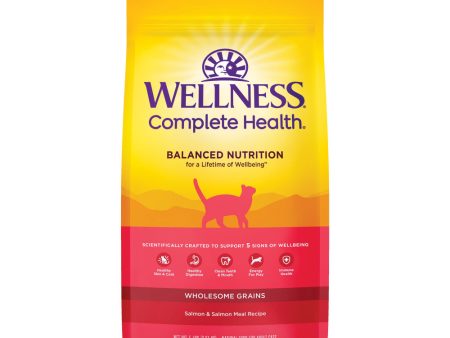 Wellness Complete Health Adult Health Salmon & Salmon Meal Recipe Dry Cat Food on Sale