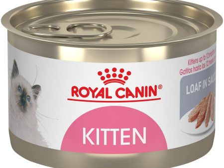 Royal Canin Feline Health Nutrition Kitten Loaf In Sauce Canned Cat Food Hot on Sale