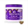 Wellness Tasty Cheese Flavored Soft Chews Calming Supplements for Dogs Online Sale