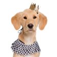 Pet Krewe Notorious D.O.G Dog Costume Cheap