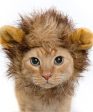 Pet Krewe Lion Mane Cat Costume Hot on Sale