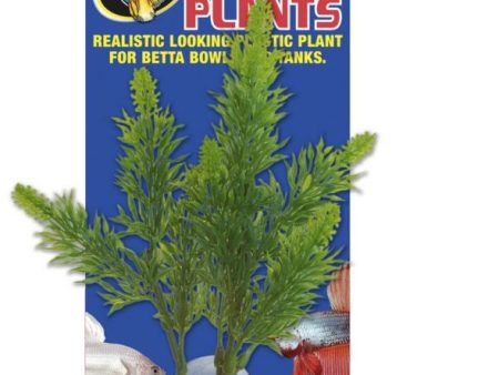 Zoo Med Betta Plant Salvia Hot on Sale