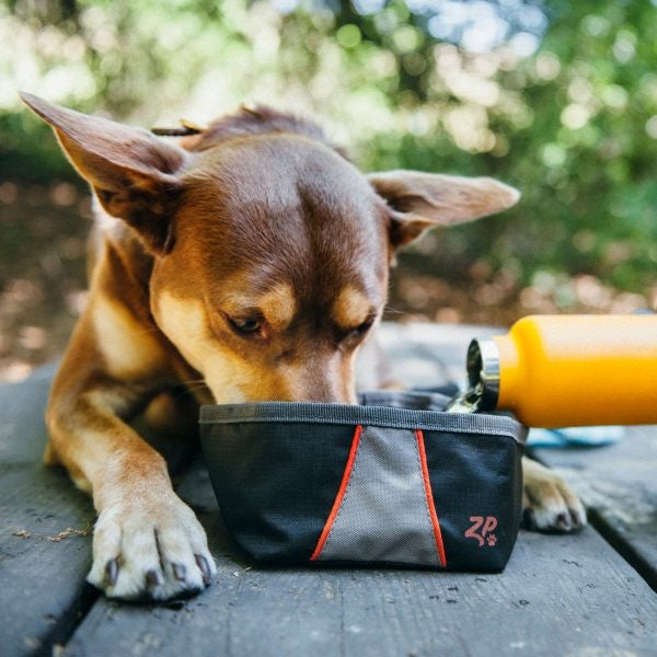 ZippyPaws Adventure Bowl For Dogs on Sale