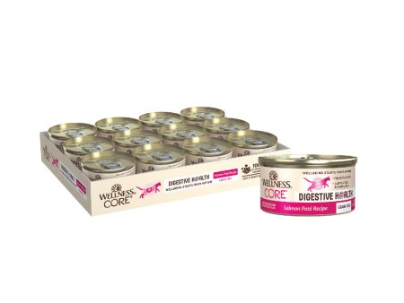 Wellness Core Digestive Health Salmon Pate Recipe Canned Cat Food Online now