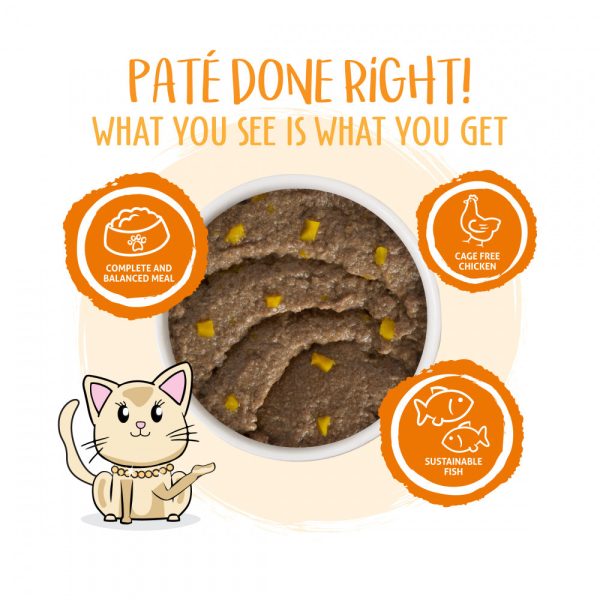 Weruva Classic Cat Pate Who wants to be a Meowionaire with Chicken & Pumpkin Canned Cat Food For Cheap