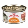 Royal Canin Intense Beauty Thin Slices in Gravy Canned Cat Food Supply