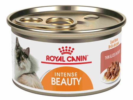 Royal Canin Intense Beauty Thin Slices in Gravy Canned Cat Food Supply