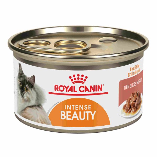 Royal Canin Intense Beauty Thin Slices in Gravy Canned Cat Food Supply