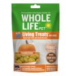 Whole Life Pet Living Treats-Probiotic Pumpkin Recipe for Dogs on Sale