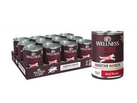 Wellness Core Digestive Health Grain Free Beef Recipe Canned Dog Food Online now