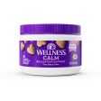 Wellness Tasty Cheese Flavored Soft Chews Calming Supplements for Dogs Online Sale