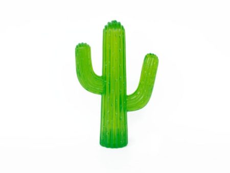 ZippyPaws Zippy Tuff Cactus Dog Toy on Sale