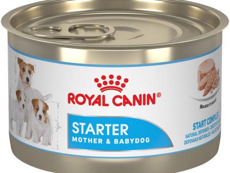 Royal Canin Size Health Nutrition Starter Mother & Babydog Mousse In Sauce Canned Dog Food For Discount