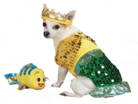 Zack and Zoey Lil Furrmaid Dog Costume on Sale