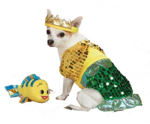 Zack and Zoey Lil Furrmaid Dog Costume on Sale