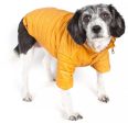 Pet Life Adjustable Yellow Sporty Avalanche Dog Coat with Pop Out Zippered Hood Sale