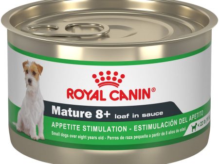 Royal Canin Canine Health Nutrition Mature 8  Loaf In Sauce Canned Dog Food Supply