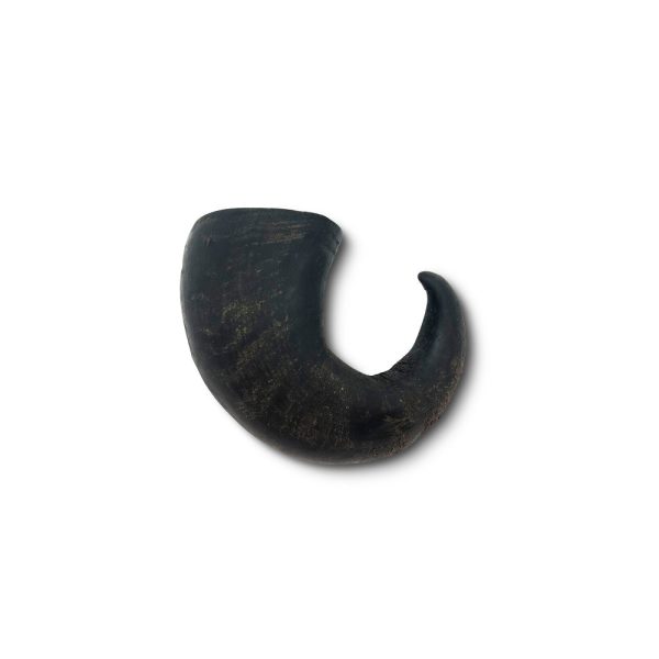 Wild Eats Water Buffalo Horn Dog Chew Fashion