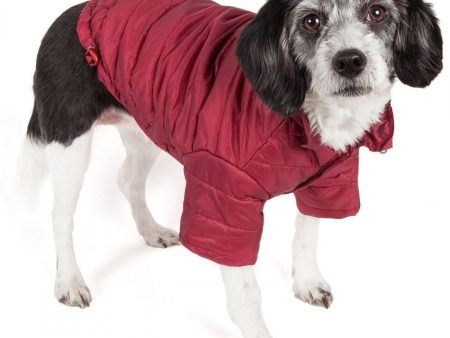 Pet Life Adjustable Burgundy Red Sporty Avalanche Dog Coat with Pop Out Zippered Hood Online now