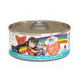 Weruva BFF Oh My Gravy Crazy 4 U Grain Free Chicken & Salmon in Gravy Canned Cat Food Online Sale