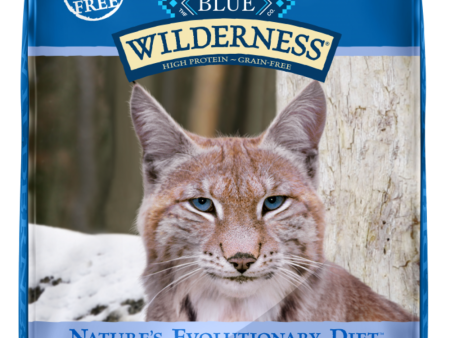 Blue Buffalo Wilderness High-Protein Grain-Free Indoor Adult Chicken Recipe Dry Cat Food Supply