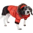 Pet Life Metallic Orange Fashion Parka Insulated Dog Coat with Removable Hood Online now