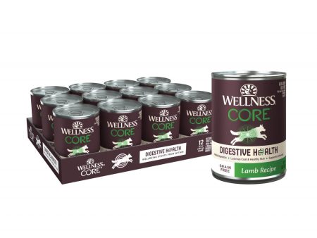 Wellness Core Digestive Health Grain Free Lamb Recipe Canned Dog Food Online