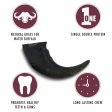 Wild Eats Water Buffalo Horn Dog Chew Fashion