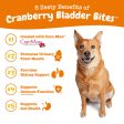 Zesty Paws Cranberry Bladder Bites, Bacon Flavor Dog Supplements Fashion