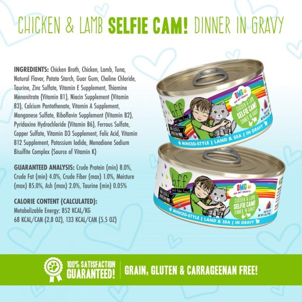 Weruva BFF Oh My Gravy Selfie Cam Grain Free Chicken & Lamb in Gravy Canned Cat Food Online now