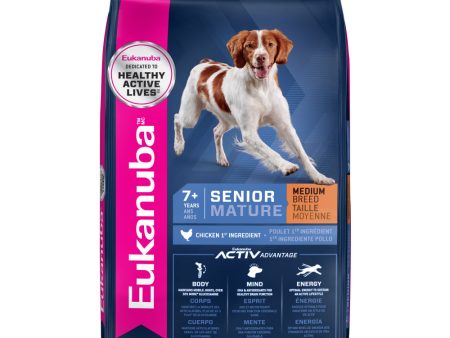 Senior Maintenance Dry Dog Food For Cheap