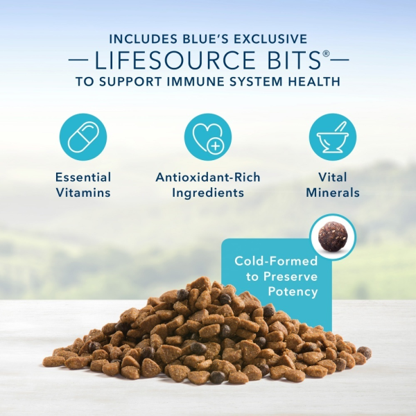 Blue Buffalo Life Protection Formula Puppy Chicken & Brown Rice Recipe Dry Dog Food Hot on Sale