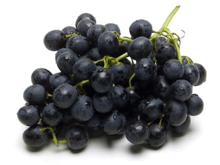 BLACK SEEDLESS GRAPES FROM CHILE For Cheap