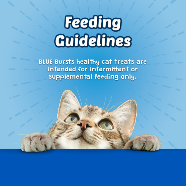 Blue Buffalo Bursts Filled Chicken Cat Treats Online