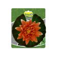 Tetra Pond Floating Water Lily Aquarium Decor Supply