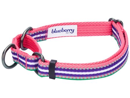 Blueberry Pet 3M Reflective Stripe Heavy Duty Training Martingale Dog Collar, Pink Emerald and Orchid Discount