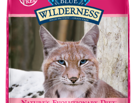 Blue Buffalo Wilderness High-Protein Grain-Free Adult Salmon Recipe Dry Cat Food on Sale