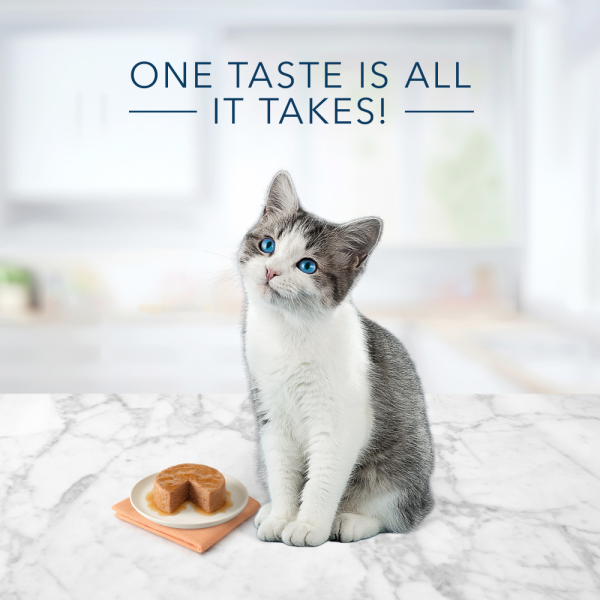 Blue Buffalo Tastefuls Chicken Pate Entree for Kittens Wet Cat Food Fashion