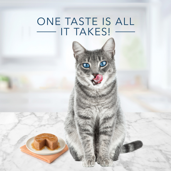 Blue Buffalo Tastefuls Adult Pate Salmon Entree Wet Cat Food Online now