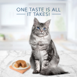 Blue Buffalo Tastefuls Chicken Pate Entree for Mature Cats Wet Cat Food Sale