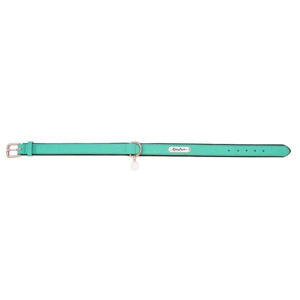 ZippyPaws Vivid Collection Teal Dog Collar Online Hot Sale