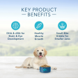 Blue Buffalo Life Protection Formula Puppy Chicken & Brown Rice Recipe Dry Dog Food Hot on Sale