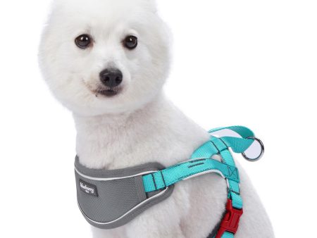 Blueberry Soft & Comfy 3M Reflective Strips Padded Lake Blue Dog Harness Vest Cheap